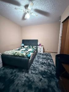 Spacious 3 BR house in Sherwood Area, Near Lampton mall, Sarnia - Photo 5