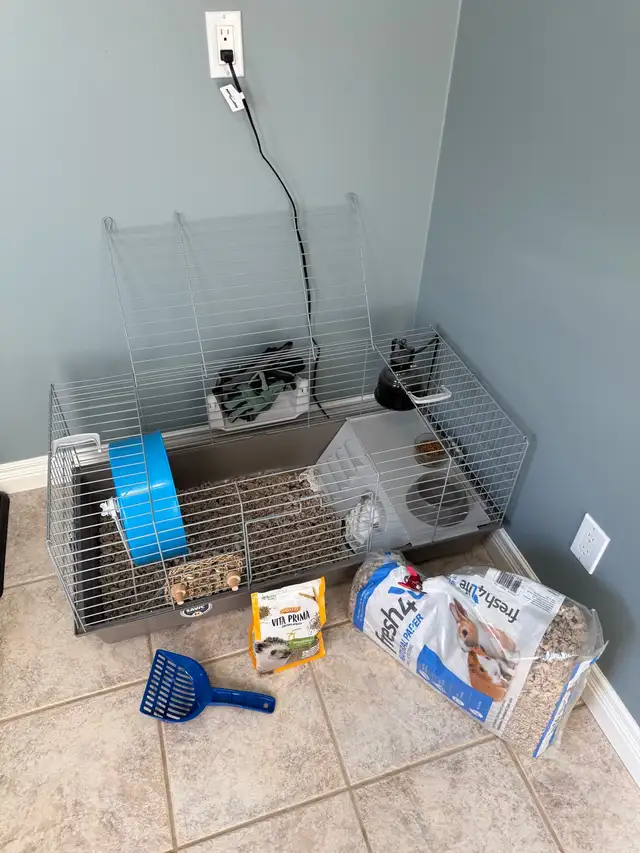 Hedgehog, Cage and Supplies