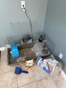 Hedgehog, Cage and Supplies