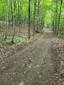 terrain de 2/3 acre situé à Deauville - Photo 2