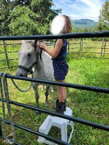 Friendly Welsh Pony Mare - Photo 8
