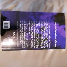 LIVRENEUFADO L'ÉVEILDU RÈVEUR DE MARTIN BOIS SÉBASTIEN 323PA$5.0 - Photo 2