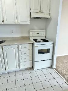 1 Bedroom Near Bank Street – October Move-In | From $1529 - Photo 7