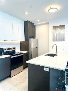 Condo Westbury, PENTHOUSE, Côte-des-Neiges - Photo 3