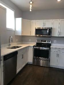2 BEDROOM BASEMENT SUITE FOR RENT - Photo 2