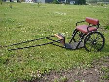Ponies, Carts and Harnesses For Sale - Photo 6