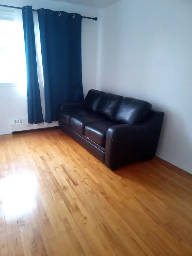 couch give away free