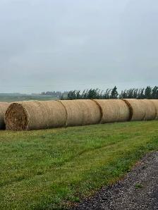 Organic Hay Bales