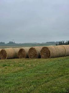 Organic Hay Bales - Photo 2