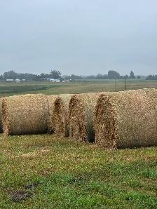 Organic Hay Bales - Photo 3
