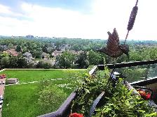 WESTERN WINDERMERE EXECUTIVE SHARED INCLUSIVE FURNISHED NOW - Photo 10