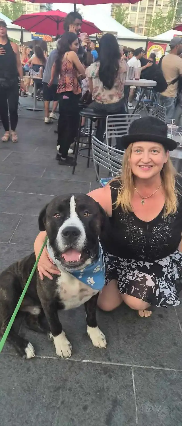 PROFESSIONAL DOG BOARDING /DOG TRAINING