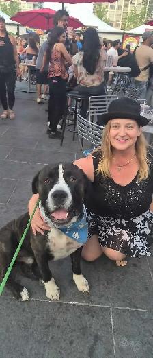 PROFESSIONAL DOG BOARDING /DOG TRAINING