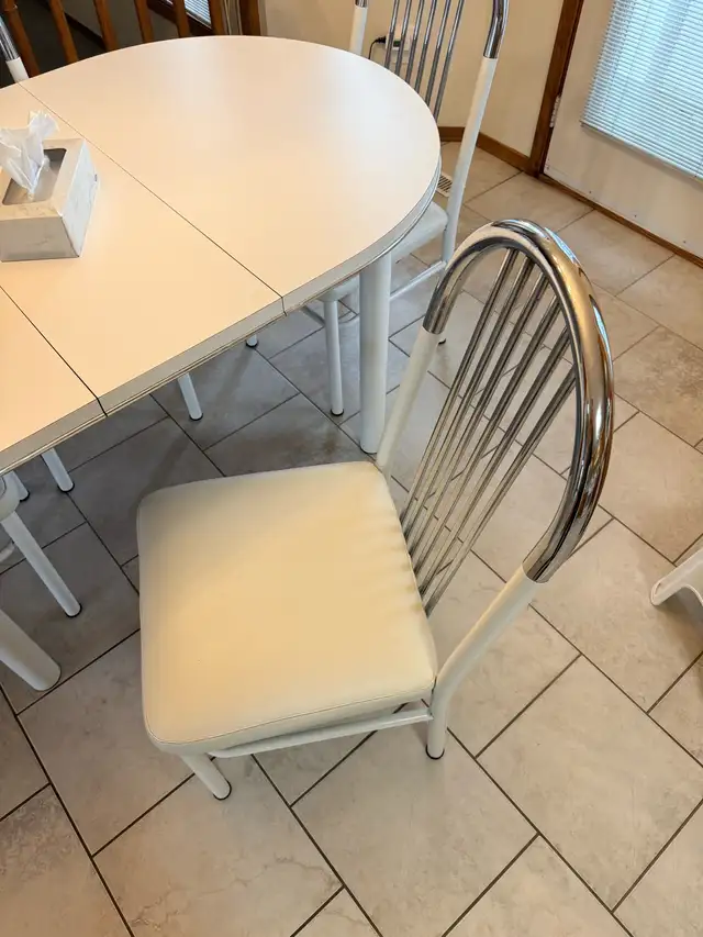 Oval Dining Table and 4 Chairs