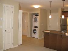 Cozy and Very nice One Bedroom Apartment for Rent - Photo 4
