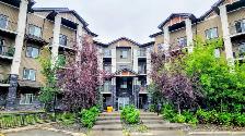 Cozy and Very nice One Bedroom Apartment for Rent - Photo 6