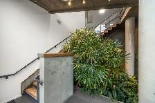 Downtown Victoria Studio for rent