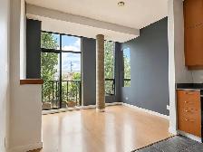 Downtown Victoria Studio for rent - Photo 5