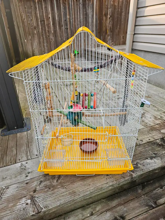 Large Bird Cage with Accessories