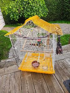 Large Bird Cage with Accessories - Photo 2