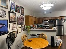 Room for Rent - Photo 7