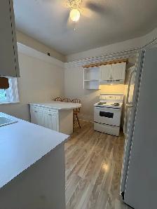 Beautiful bright one bedroom - Photo 5