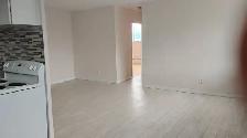 Spacious 1 and 2 Bedroom Apartments close to TTC, shops and groc - Photo 2