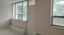 Spacious 1 and 2 Bedroom Apartments close to TTC, shops and groc - Photo 3