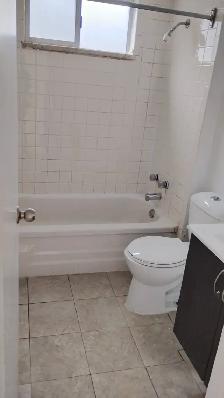 Spacious 1 and 2 Bedroom Apartments close to TTC, shops and groc - Photo 12