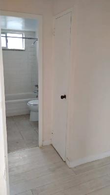 Spacious 1 and 2 Bedroom Apartments close to TTC, shops and groc - Photo 13