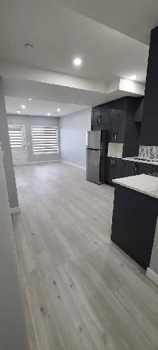 2 Bedroom legal secondary suite Walkout Basement in Cornerstone - Photo 9