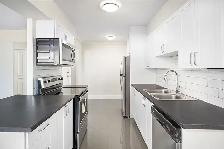 Studio Apartment for Rent - 25 Cougar Court - Photo 3