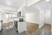Studio Apartment for Rent - 25 Cougar Court - Photo 4