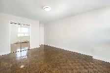 Studio Apartment for Rent - 25 Cougar Court - Photo 5