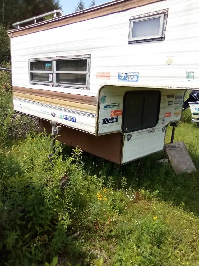 OLDER CRICKET $1400$