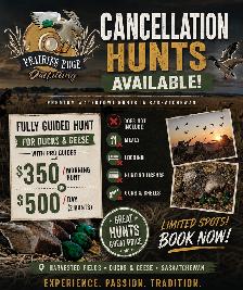 Fully Guided Duck and Goose Hunting in Saskatchewan