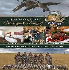 Fully Guided Duck and Goose Hunting in Saskatchewan - Photo 4