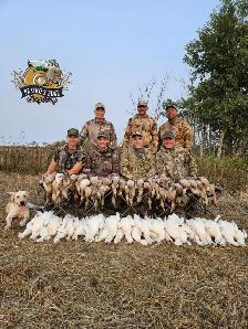 Fully Guided Duck and Goose Hunting in Saskatchewan - Photo 6