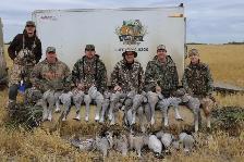 Fully Guided Duck and Goose Hunting in Saskatchewan - Photo 7