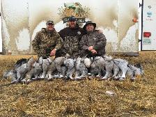 Fully Guided Duck and Goose Hunting in Saskatchewan - Photo 8