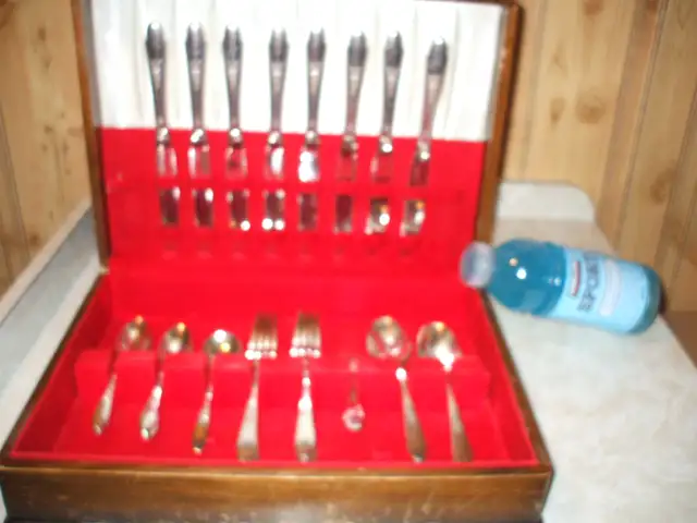 SILVERWARE