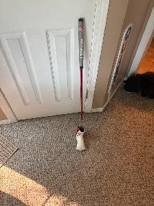 Odyssey white HotOG 1ch putter for sale new condition - Photo 7