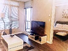 Metrotown Furnished one Bedroom one Bath to rent $2300 - Photo 6