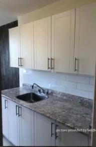 Bachelor @ 1691 Gerrard St. East- Available - Photo 3