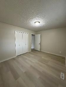 House for rent - Photo 3