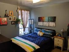 2   1 Bedroom, 2 Bath, Roof Deck, Dundas / Ossington / Queen - Photo 2