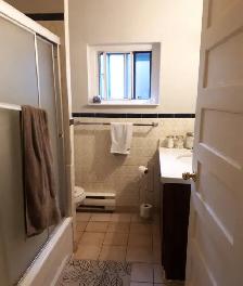 2   1 Bedroom, 2 Bath, Roof Deck, Dundas / Ossington / Queen - Photo 8