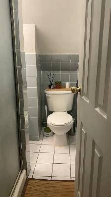 2   1 Bedroom, 2 Bath, Roof Deck, Dundas / Ossington / Queen - Photo 9
