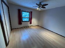 3Bed 1.5Bath House for Rent in St. James / King Edward Area - Photo 14