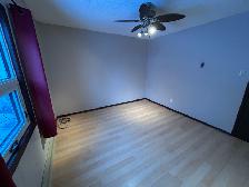 3Bed 1.5Bath House for Rent in St. James / King Edward Area - Photo 17